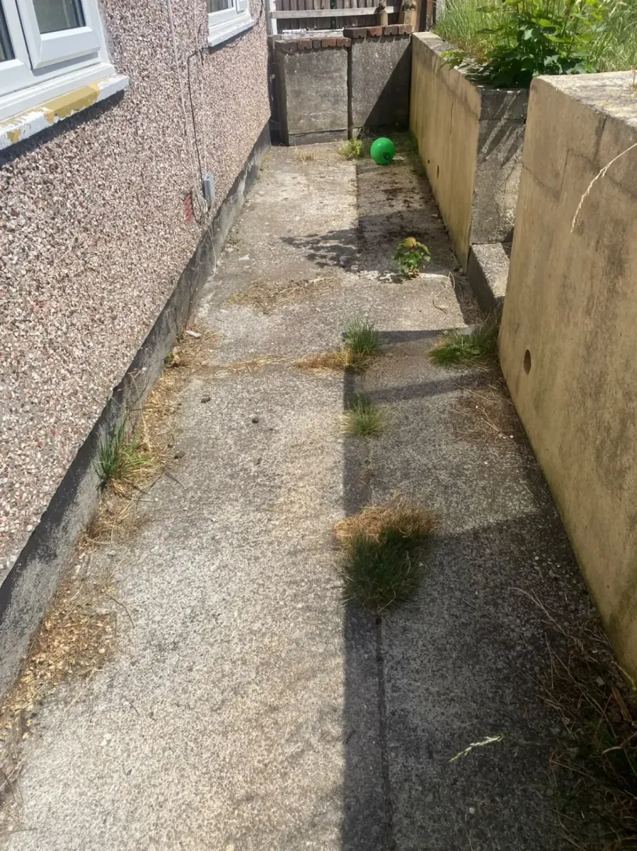 Cleared garden in Liskeard with grass and paving visible after garden clearance